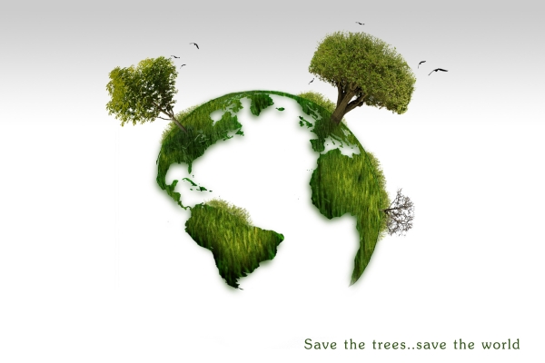 Creation of grow more trees: Step 2